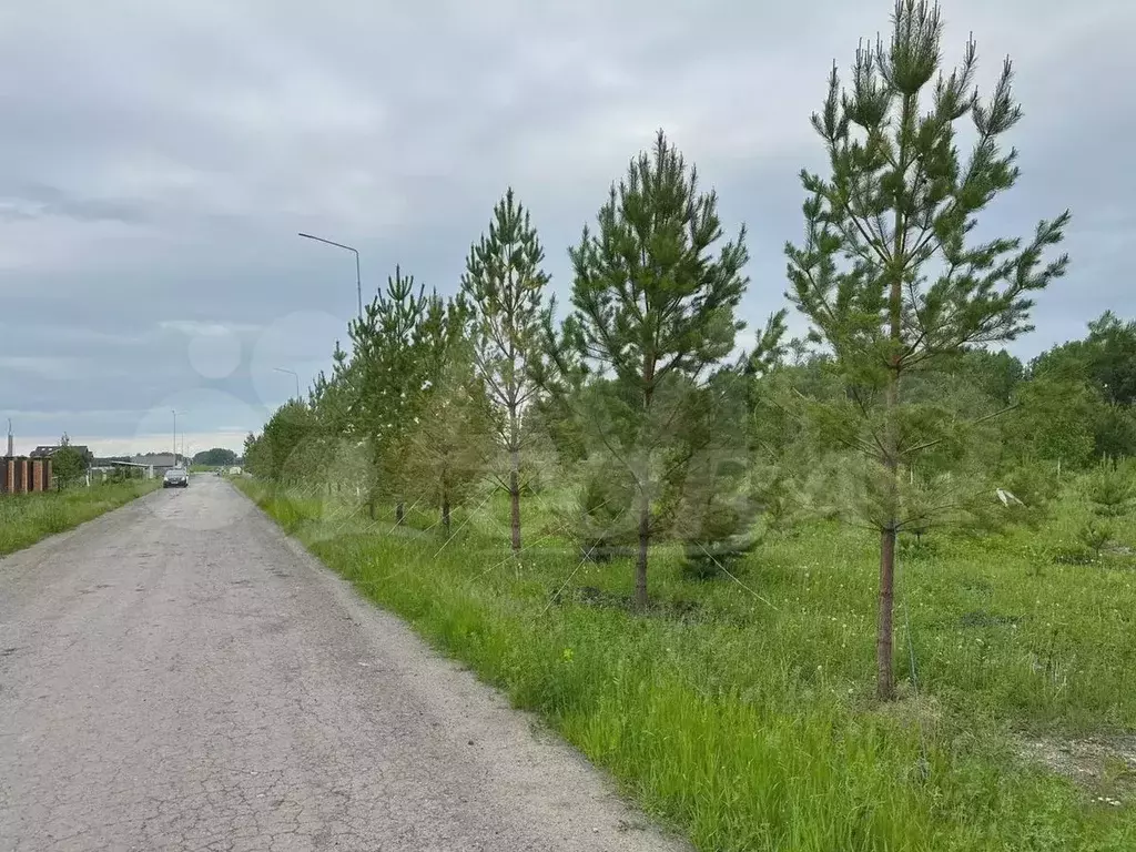 Участок 10 сот. (СНТ, ДНП) - Фото 0