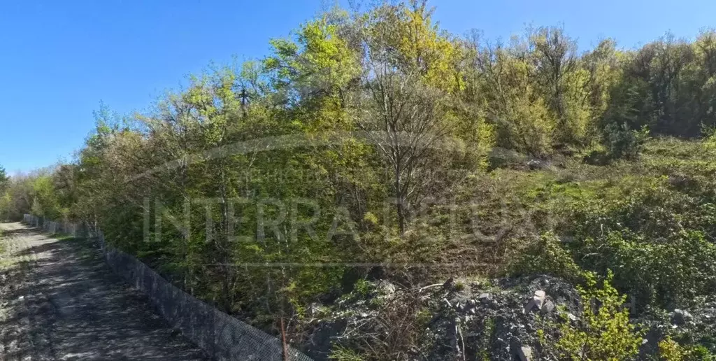 Участок в Крым, Ялта городской округ, Виноградное пгт  (15.0 сот.) - Фото 1