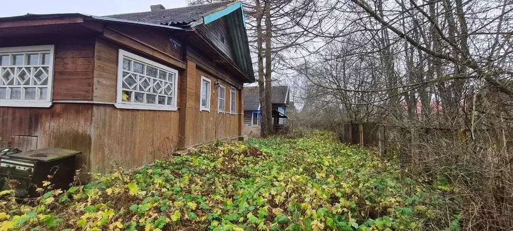 Дом в Тверская область, Рамешковский муниципальный округ, с. Ведное ... - Фото 1