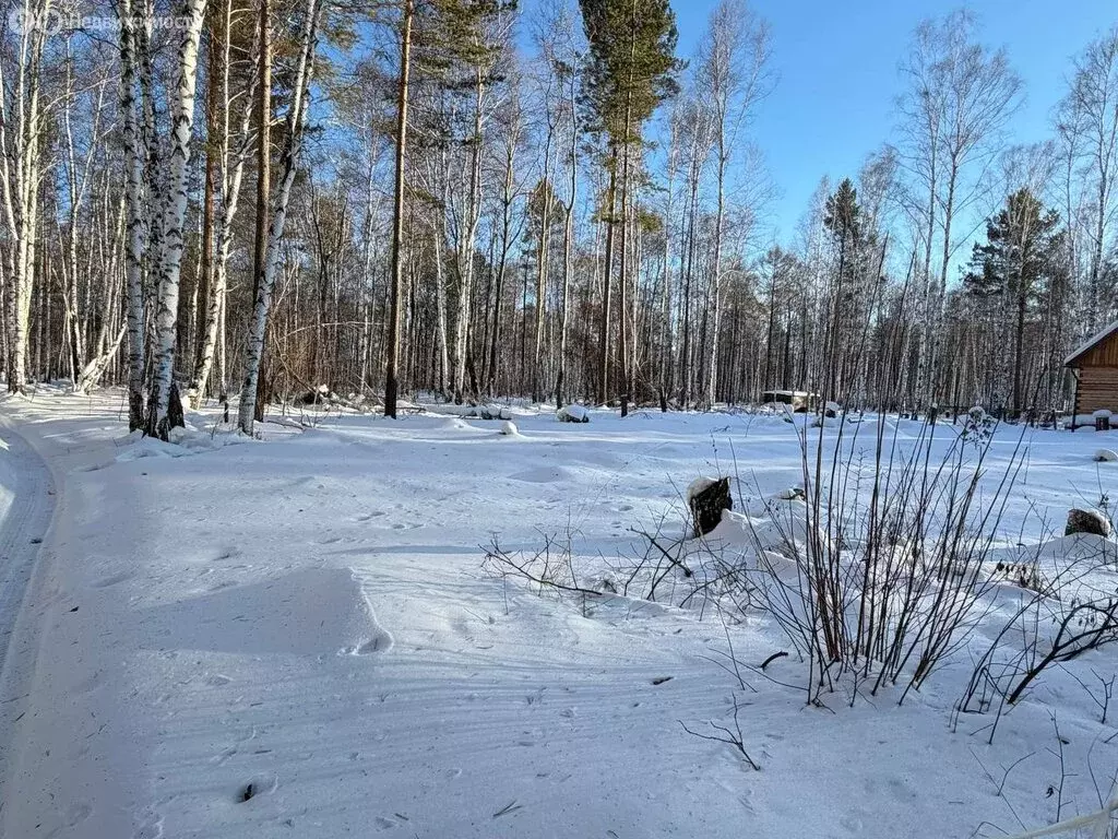 Участок в Иркутский муниципальный округ, СНТ Ангарские Зори, Луговая ... - Фото 1