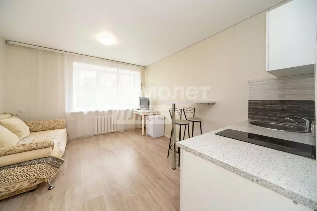 Студия Пермский край, Пермь ул. Коминтерна, 28 (19.2 м) - Фото 1