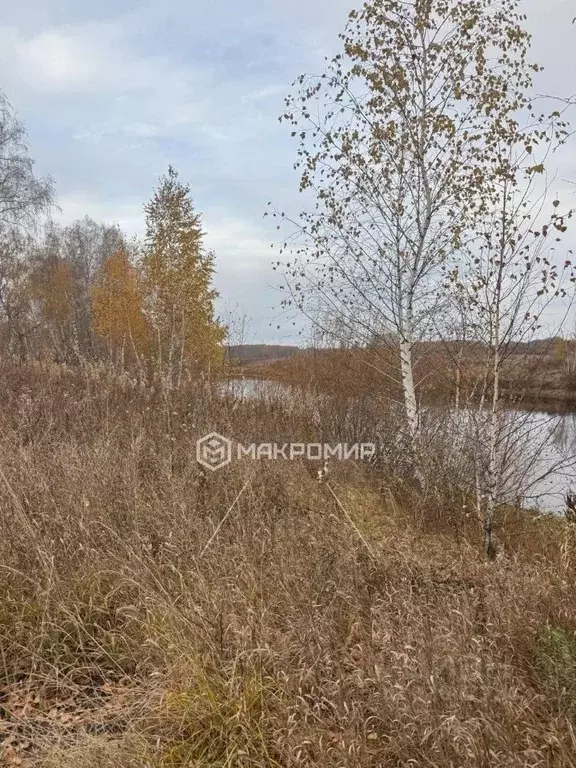 Участок в Челябинская область, Красноармейский муниципальный округ, с. ... - Фото 1