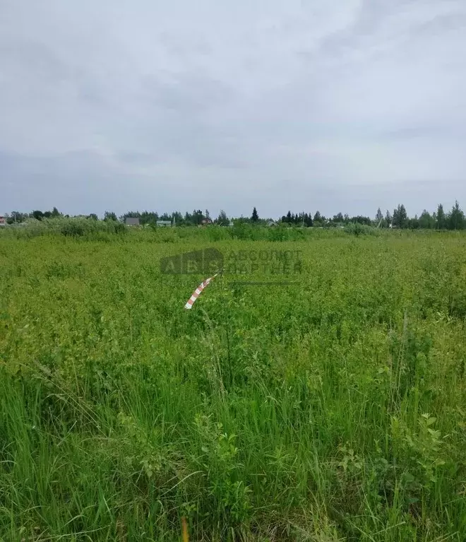 Участок в Новгородская область, Новгородский район, Ракомское с/пос, ... - Фото 0