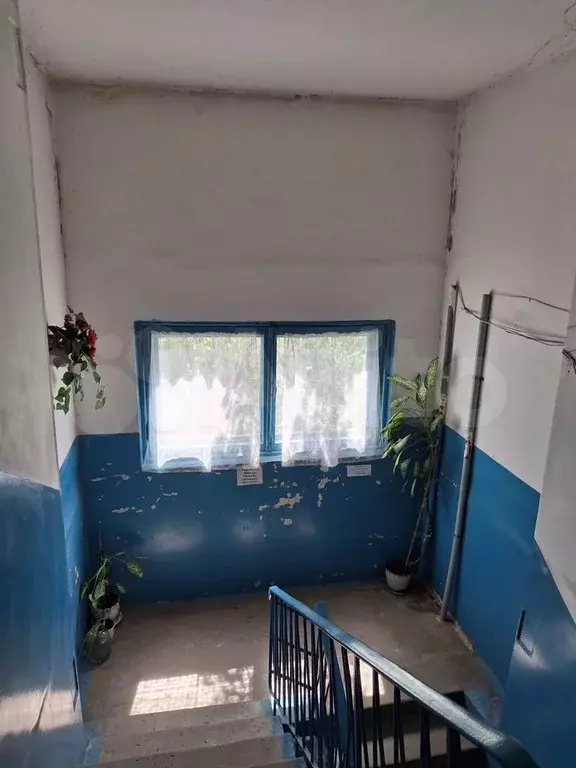3-к. квартира, 58,7 м, 5/5 эт. - Фото 0