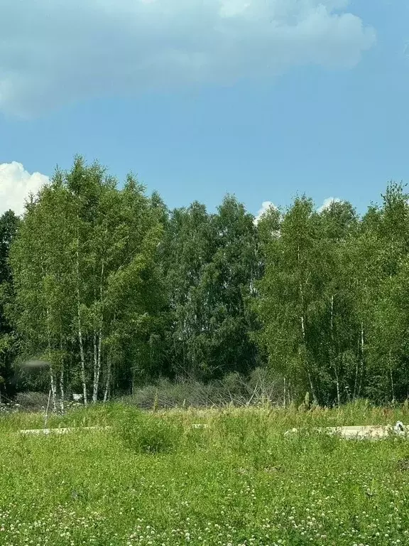 Участок в Московская область, Электросталь городской округ, пос. ... - Фото 0