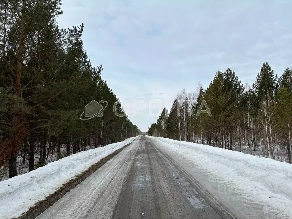Участок в Тюменская область, Тюменский район, с. Каменка  (8.0 сот.) - Фото 1