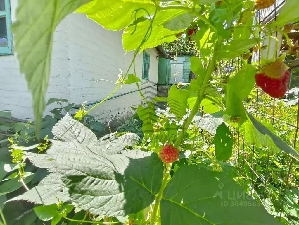 Дом в Белгородская область, Старый Оскол ул. Ленина (39 м) - Фото 0