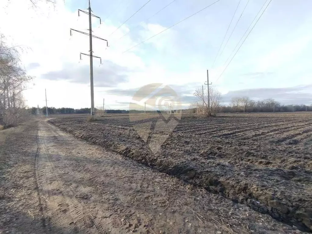 Участок в Белгородская область, Старооскольский городской округ, с. ... - Фото 2
