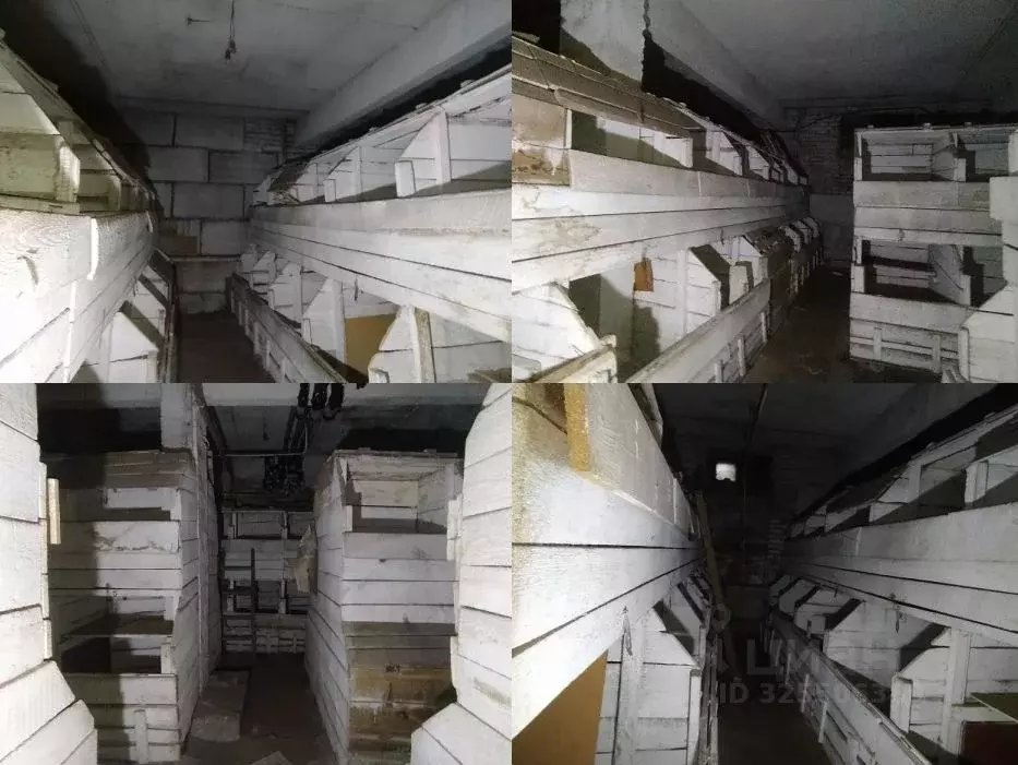 Помещение свободного назначения в Башкортостан, Уфа ул. Шумавцова, 13 ... - Фото 2