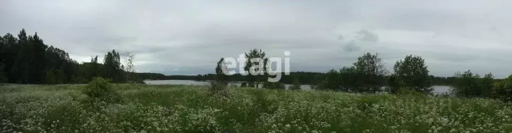 Участок в Ленинградская область, Приозерский район, Ромашкинское ... - Фото 0