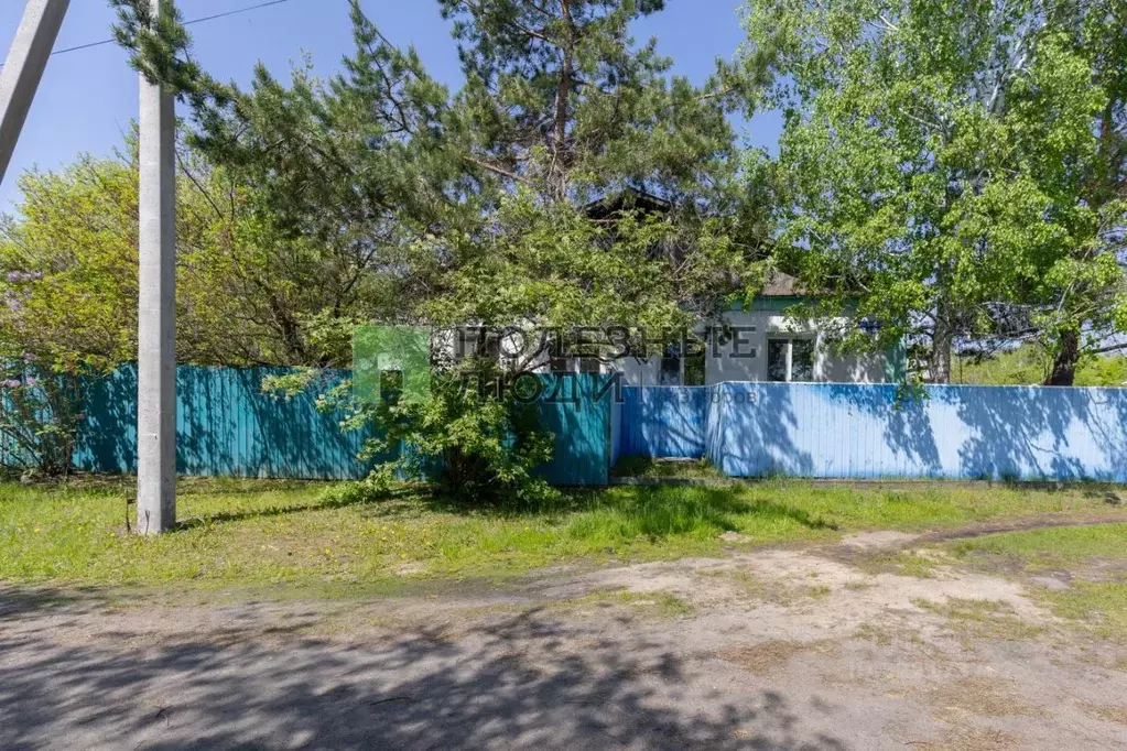 Дом в Амурская область, с. Ивановка пер. Высокий, 1 (65 м) - Фото 2