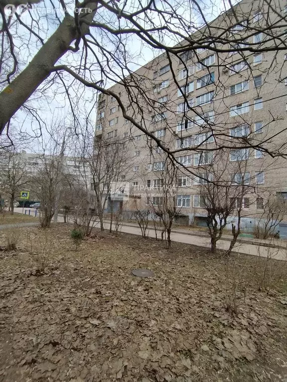 3-комнатная квартира: Ивантеевка, улица Толмачёва, 10 (61.4 м) - Фото 2
