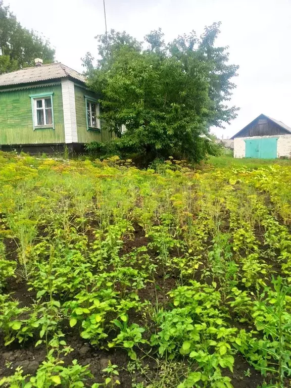 Купить Дом В Веретье Острогожского Района