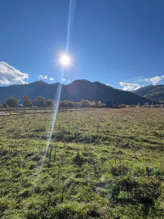 Участок в Алтай, Чемальский район, Аносинское с/пос  (10.0 сот.) - Фото 1