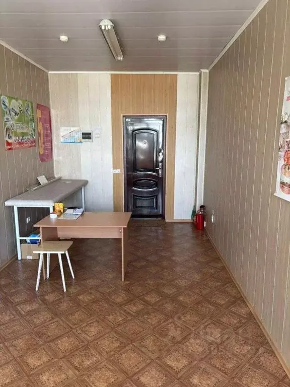 Офис в Новосибирская область, Бердск ул. Ленина, 89/9 (17 м) - Фото 1