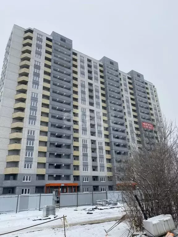 3-к кв. Липецкая область, Липецк ул. Молодежная, 9 (65.0 м) - Фото 1