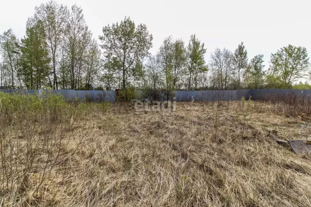 Участок в Тюменская область, Тюмень Садовое товарищество Липовый ... - Фото 1