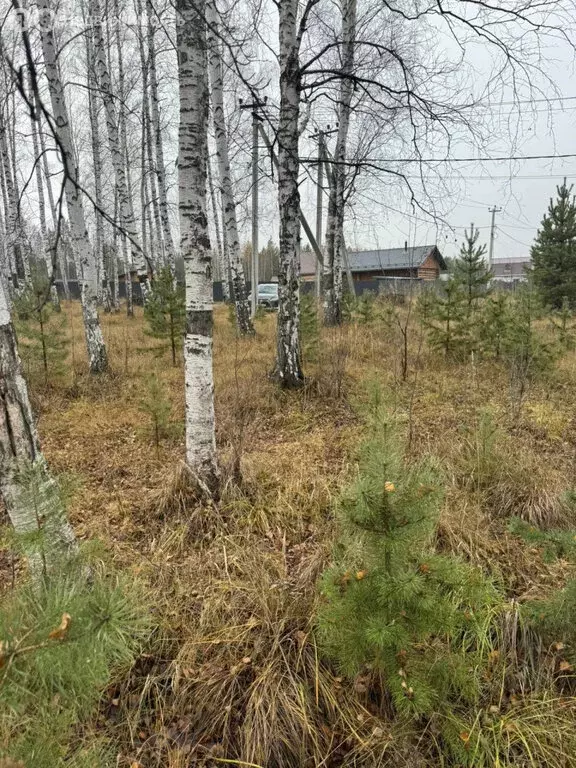Участок в Свердловская область, муниципальное образование ... - Фото 1