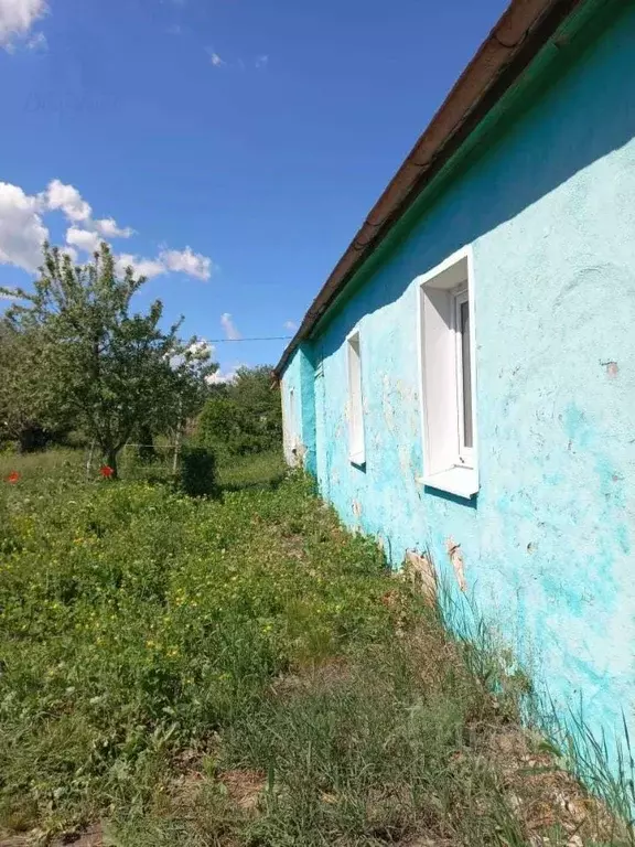Дом в Воронежская область, Панинский район, Октябрьское с/пос, с. ... - Фото 0