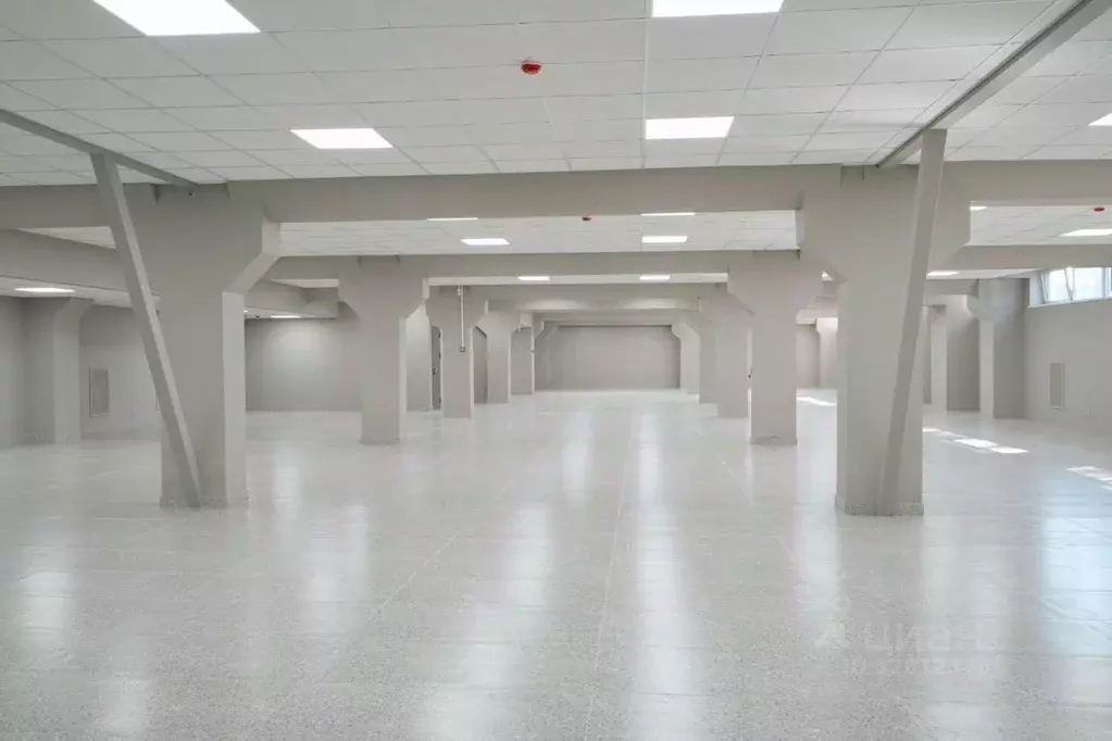 Помещение свободного назначения в Санкт-Петербург, Санкт-Петербург, ... - Фото 2