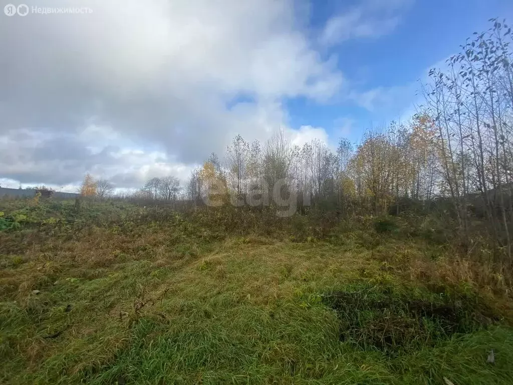 Участок в Вологодский муниципальный округ, посёлок Грибково (10 м) - Фото 0