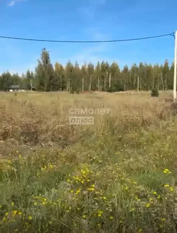 Участок в Липецкая область, Липецк ул. Моховая (10.0 сот.) - Фото 1
