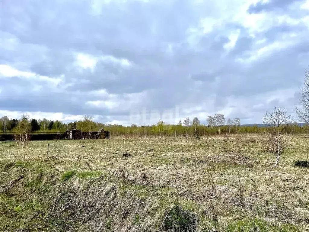 Участок в Пермский край, Пермский муниципальный округ, д. Шульгино  ... - Фото 1