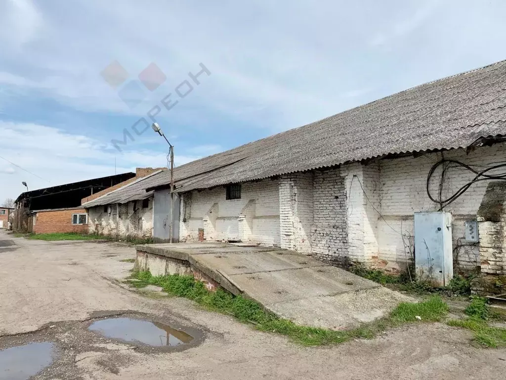Производственное помещение в Краснодарский край, Славянск-на-Кубани ... - Фото 1