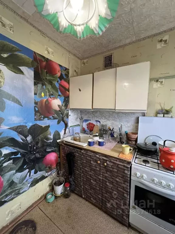 4-к кв. Псковская область, Великие Луки ул. Малышева, 22 (61.6 м) - Фото 2