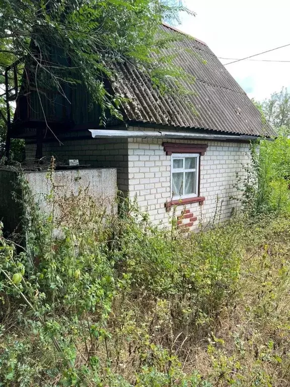 Дом в Белгородская область, Белгородский район, Никольское с/пос, с. ... - Фото 0