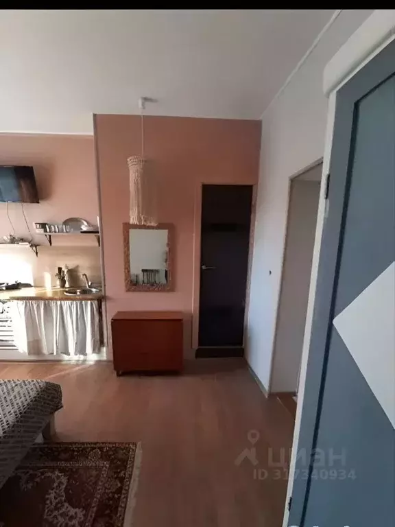 Студия Томская область, Томск ул. Карпова, 8 (21.0 м) - Фото 1