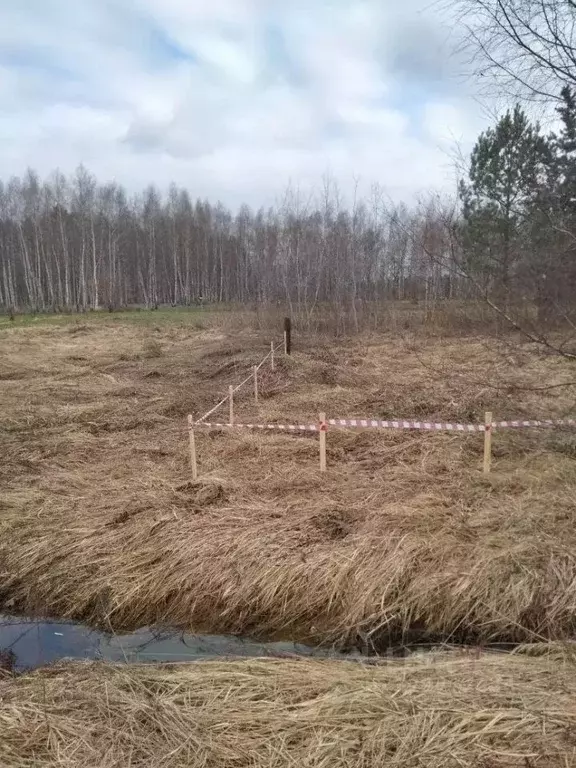 Участок в Московская область, Раменский муниципальный округ, д. ... - Фото 1