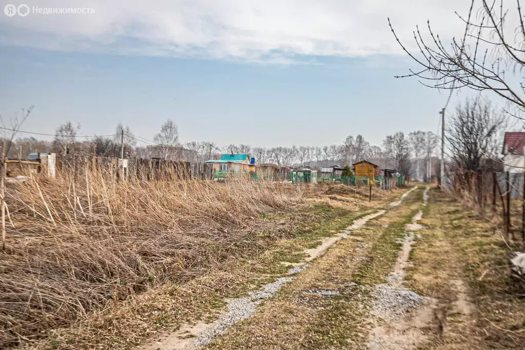 Участок в Искитимский район, Мичуринский сельсовет, СПК Восток-2 (6.35 ... - Фото 0