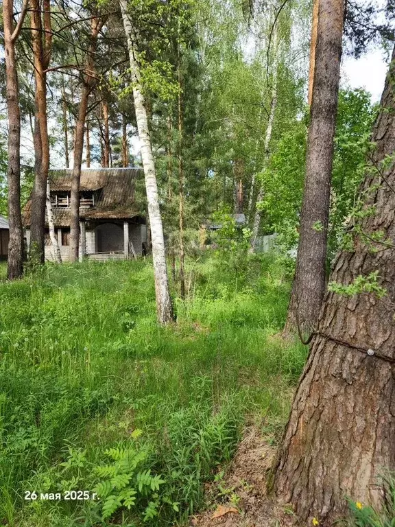 Дача 60 м на участке 16 сот. - Фото 1