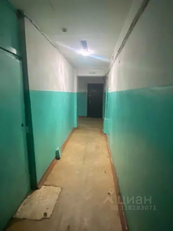 Помещение свободного назначения в Иркутская область, Иркутск ул. ... - Фото 1