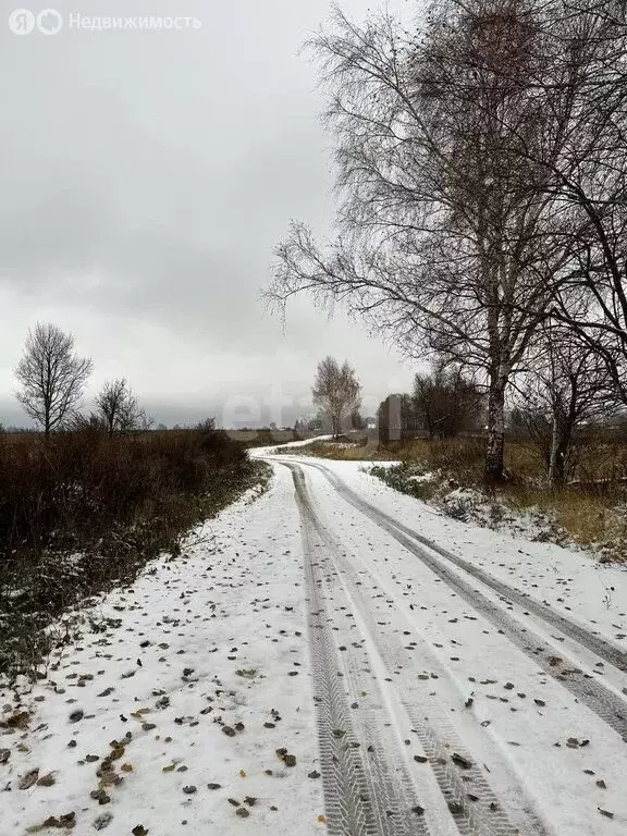 Участок в Дмитровский городской округ, деревня Кончинино (24 м) - Фото 1