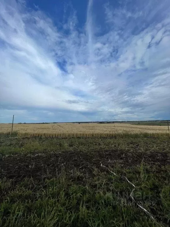 Участок в Владимирская область, Суздальский район, Селецкое ... - Фото 1