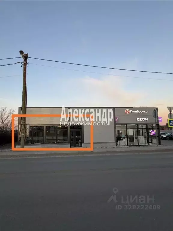 Торговая площадь в Ленинградская область, Гатчинский муниципальный ... - Фото 2