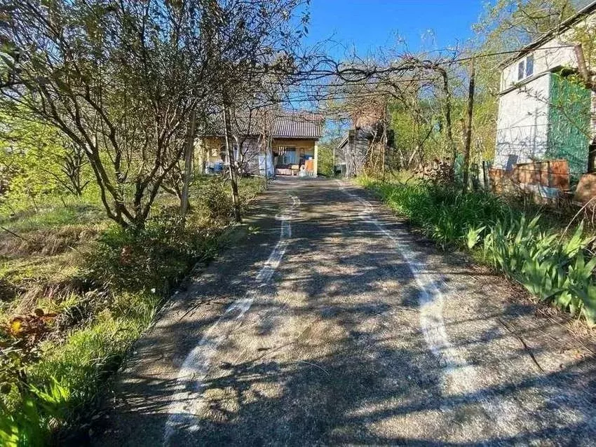 Участок в Краснодарский край, Сочи городской округ, с. Раздольное ул. ... - Фото 0