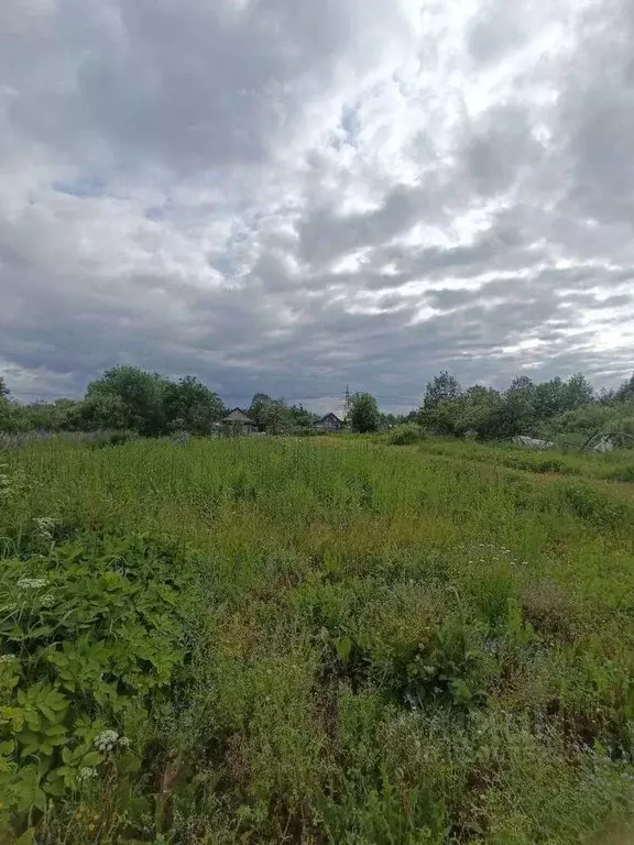 Участок в Новгородская область, Новгородский район, Ермолинское с/пос, ... - Фото 2