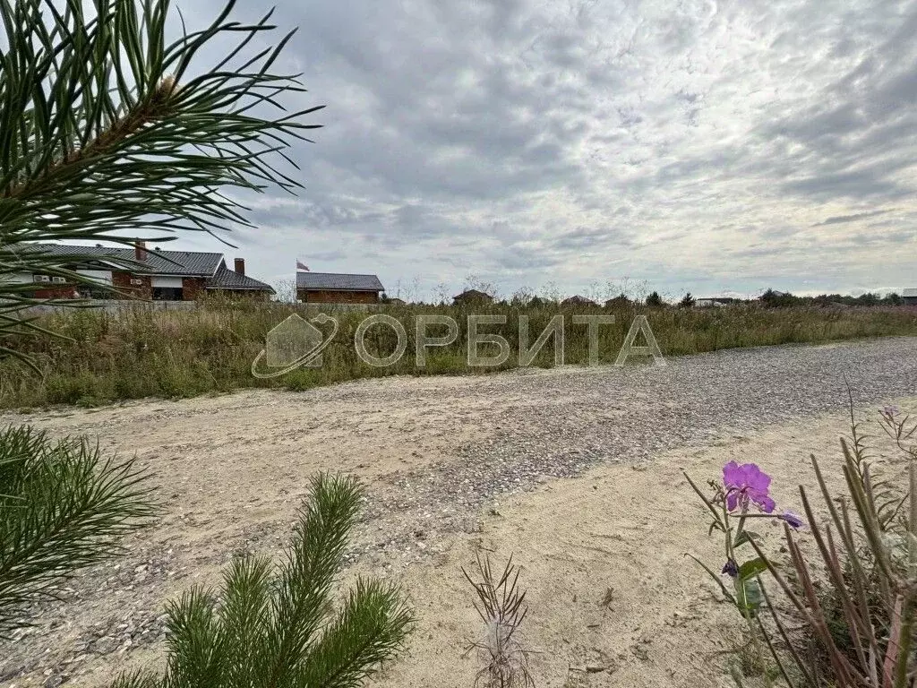 Участок в Тюменская область, Тюменский район, с. Перевалово, Зубарево ... - Фото 1