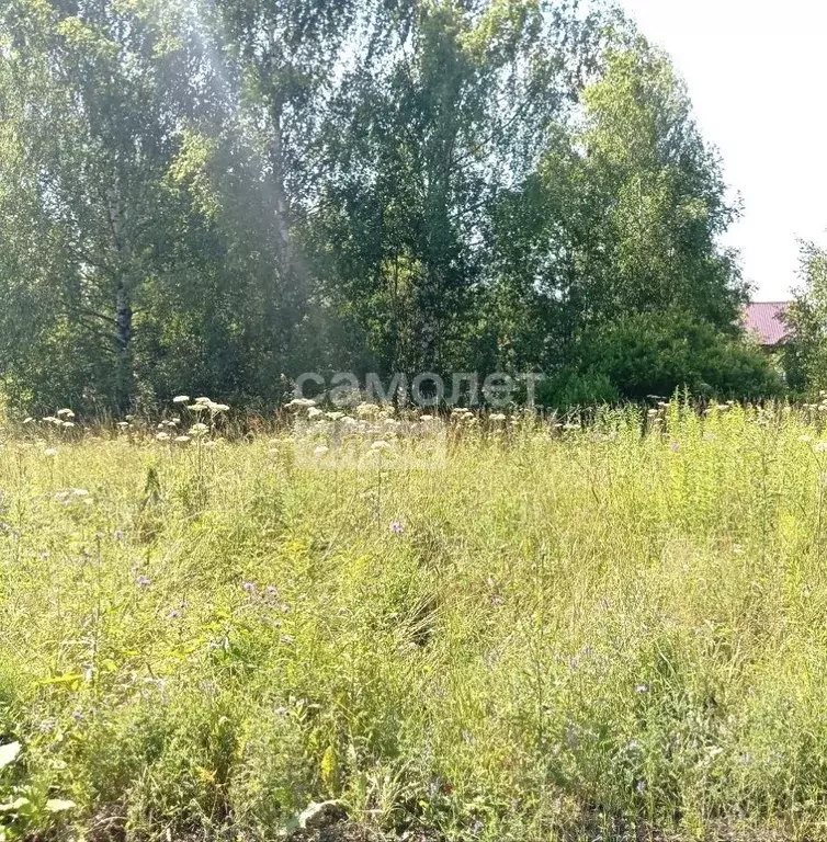 Участок в Московская область, Солнечногорск городской округ, д. ... - Фото 2