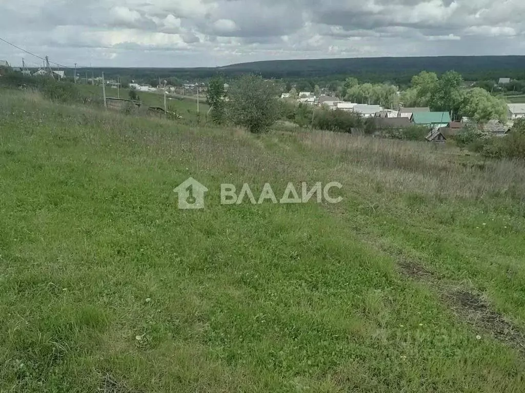 Участок в Пензенская область, Пензенский район, Засечный сельсовет, с. ... - Фото 0