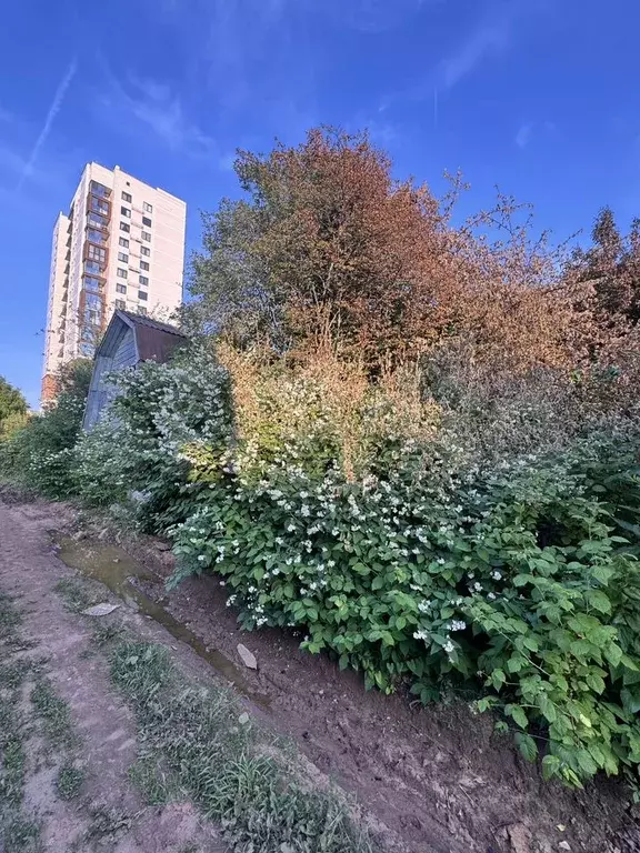 Участок 7,3 сот. (СНТ, ДНП) - Фото 0