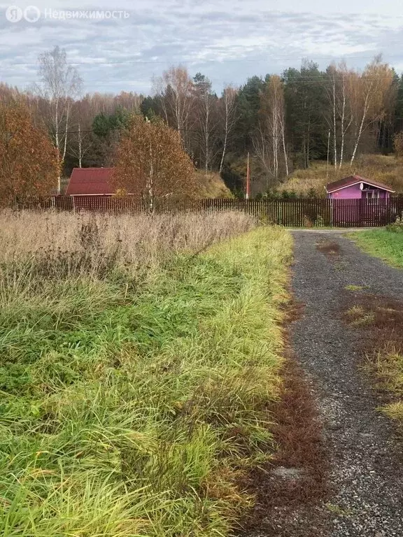 Участок в Толмачёвское городское поселение, ДНП Заповедное (12 м) - Фото 0