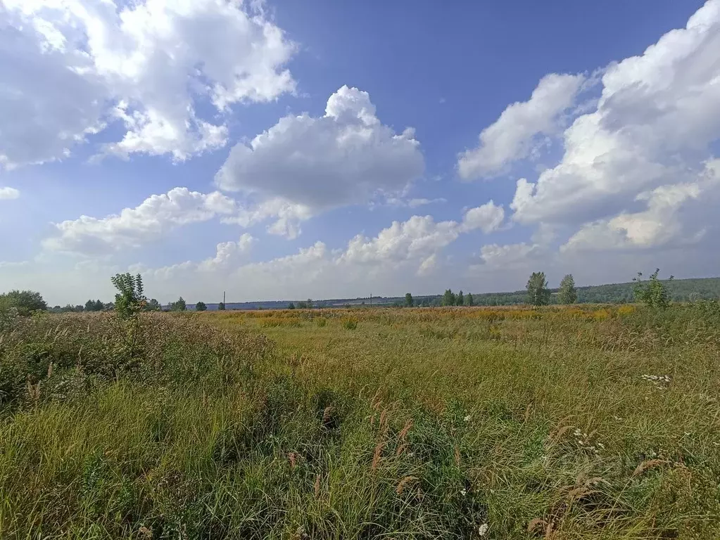 Купить Участок В Лысково Нижегородской