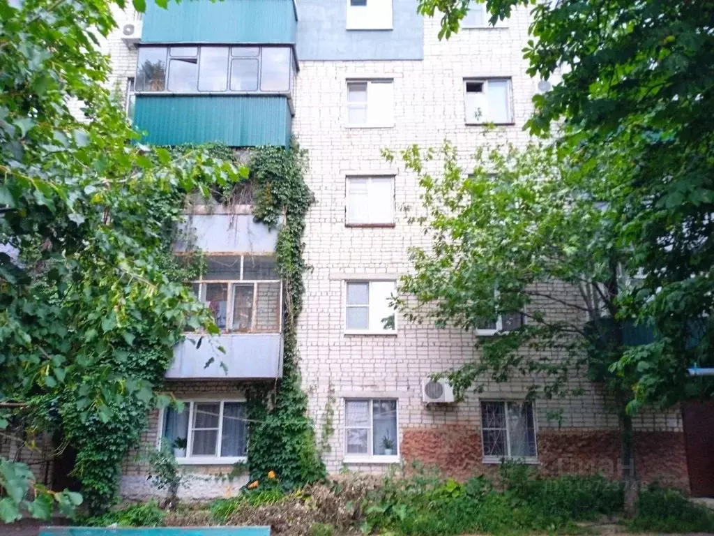 1-к кв. Курская область, Курск Семеновская ул., 82 (32.3 м) - Фото 1