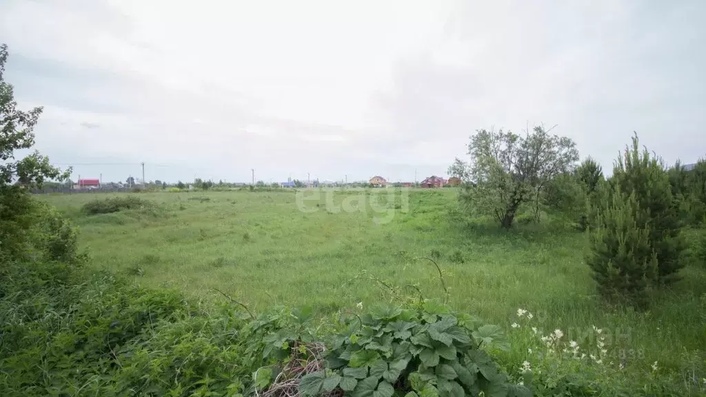 Участок в Томская область, Томский район, Ясная поляна ДНТ ул. Озерная ... - Фото 2