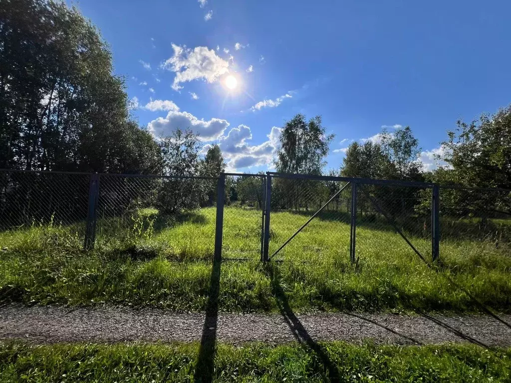 Участок в Владимирская область, Александровский муниципальный округ, ... - Фото 2