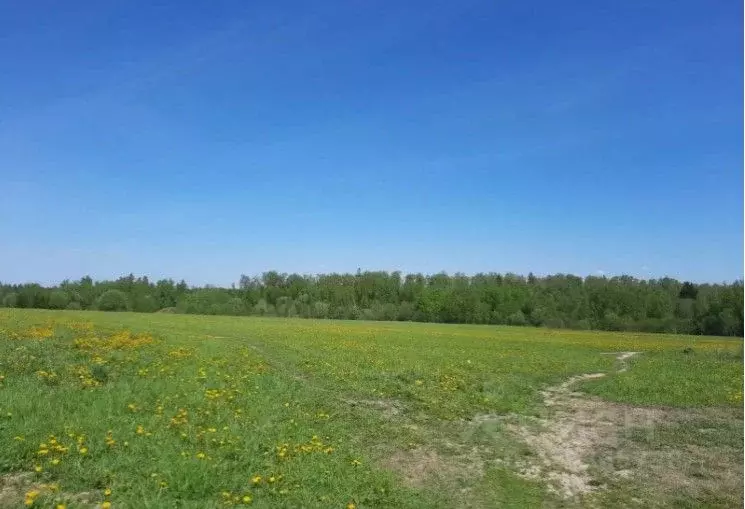 Участок в Московская область, Солнечногорск городской округ, д. ... - Фото 1